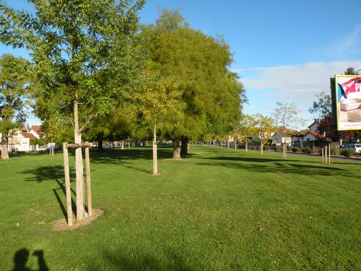  nature au milieu de la ville